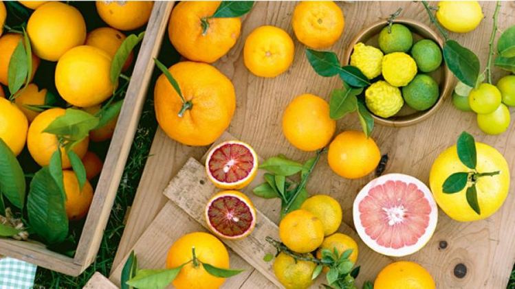 citrus fruits to stop bleeding nose in children